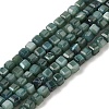 Natural Freshwater Shell Dyed Beads Strands SHEL-R100-11A-05-1