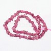 Chips Natural Red Tourmaline Beads Strands G-N0164-29-5