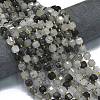 Natural Tourmalinated Quartz Beads Strands G-K389-A20-01-2