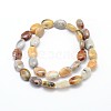 Natural Crazy Lace Agate Flat Oval Bead Strands G-M206-18-2