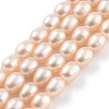 Natural Cultured Freshwater Pearl Beads Strands PEAR-P062-06G-1