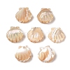 Natural Trochus Shell Carved Beads SHEL-P017-08B-1