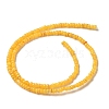 Natural Freshwater Shell Beads Strands SHEL-P017-01B-06-2