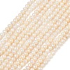 Natural Cultured Freshwater Pearl Beads Strands PEAR-L034-06C-2