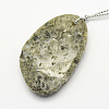 Natural Fossil Pendants G-G694-B-12-2