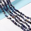 Natural Sodalite Beads Strands G-E115-01-2