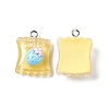 Transparent Resin Pendants RESI-M030-01A-2