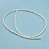 Natural Trochid Shell/Trochus Shell Beads Strands BSHE-Z005-04A-2