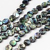 Natural Abalone Shell/Paua Shell Beads Strands X-SSHEL-G003-5-10x3mm-1