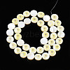 Natural Freshwater Shell Enamel Beads SHEL-N026-192-2