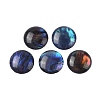 Natural Abalone Shell/Paua Shell Resin Cabochons SSHEL-K003-10MM-03-1