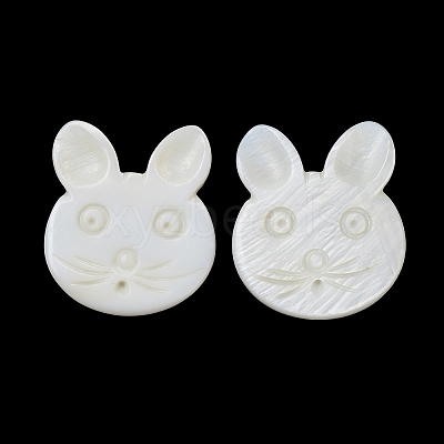 Natural Freshwater Shell Beads BSHE-P033-12-1