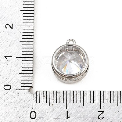 Brass Pave Clear Cubic Zirconia Charms CU-CBAD306-24C-P-1