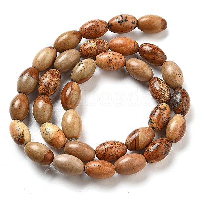 Natural Picture Jasper Beads Strands G-B106-B21-01-1