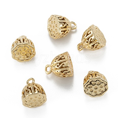 Brass Charms KK-C223-11G-1
