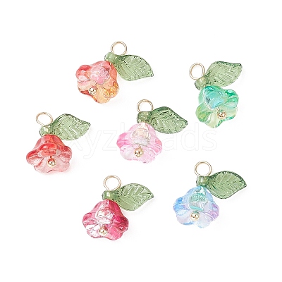 Glass & Acrylic Charms PALLOY-TA00037-1