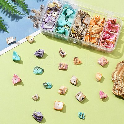 125G 5 Colors Natural Shell Bead Strands BSHE-FS0001-06A-1