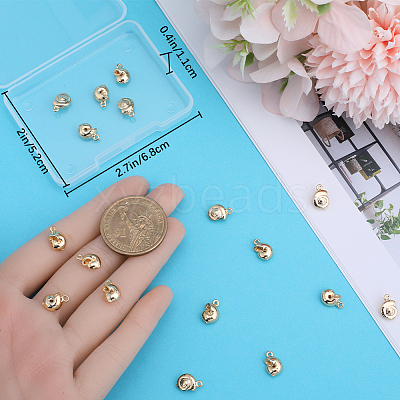 20Pcs Brass Charms KK-BBC0010-34-1