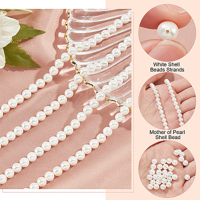 Shell Pearl Beads Strands SHEL-WH0001-009A-1
