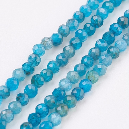 Natural Apatite Beads Strands G-F568-135-3mm-1