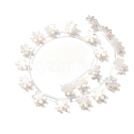 Natural White Shell Beads BSHE-Z008-08-1