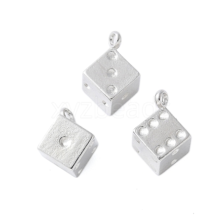 Alloy Pendants FIND-L020-002P-01-1