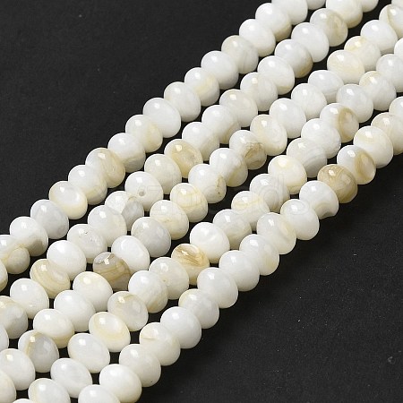 Natural Freshwater Shell Beads Strands BSHE-E026-15B-01-1