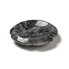 Natural Larvikite Worry Stones G-E586-01I-4