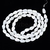 Natural Trochid Shell/Trochus Shell Beads Strands SSHEL-N034-94A-B01-2