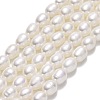 Natural Cultured Freshwater Pearl Beads Strands PEAR-J006-17E-01-1