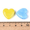 Handmade Lampwork Beads LAMP-T023-27M-3