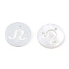 Natural Freshwater Shell Charms SHEL-N027-10D-3