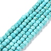 Natural Howlite Beads Strands G-G001-A01-02-1