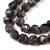 Natural Syenite Beads Strands G-T138-219-3