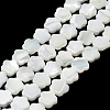 Natural Trochus Shell Beads Strands X-BSHE-P033-07-1