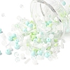 2 Sets Glass Seed Beads DIY-FS0008-27B-2