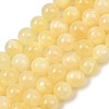 Natural Golden Silk Jade Beads Strands G-Z112-A01-8mm-2