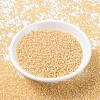 MIYUKI Round Rocailles Beads SEED-JP0008-RR0552-2