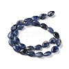 Natural Sodalite Beads Strands G-K357-A01-01-3