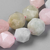 Natural Morganite Beads Strands G-S149-41-10mm-2