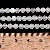 Natural Rainbow Moonstone Beads Strands G-P500-01C-01A-4