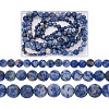 Yilisi 3 Strands 3 Style Natural Blue Spot Jasper Beads Strands G-YS0001-03-7