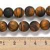 Frosted Natural Tiger Eye Beads Strands G-Q177-A01-01-5