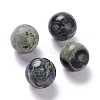 Natural Kambaba Jasper Beads G-D456-10-1