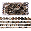 4 Strands 4 Style Natural Dragon Veins Agate Bead Strands G-TA0001-32-9