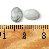 Natural Howlite Cabochons G-A094-01B-60-4