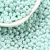 6/0 Glass Seed Beads SEED-L011-08A-14-1