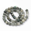 Natural Green Line Jasper Beads Strands G-Q462-102-6mm-2