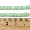 Dyed Natural Freshwater Shell Beads Strands X1-BSHE-G039-07E-4