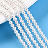 Natural Nucleated Pearl Beads Strands PEAR-N016-03A-2